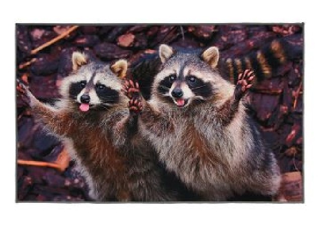 Коврик влаговпитывающий Velur 50*80 см Веселые еноты, VORTEX 24242